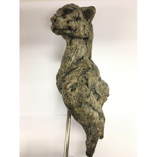 744 - A signed and numbered Hamish Mackie bronze titled 'Cheetah Fragment', numbered 25 of 25. Approx heig... 