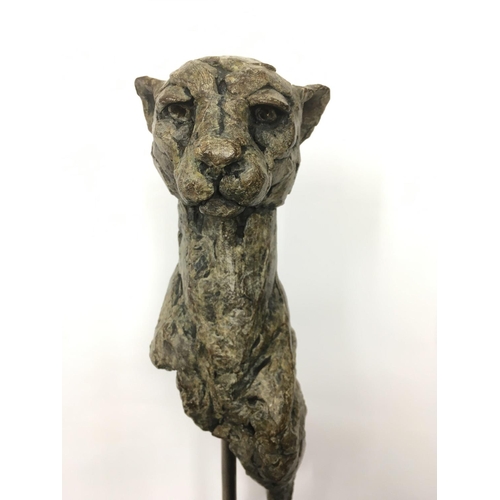 744 - A signed and numbered Hamish Mackie bronze titled 'Cheetah Fragment', numbered 25 of 25. Approx heig... 