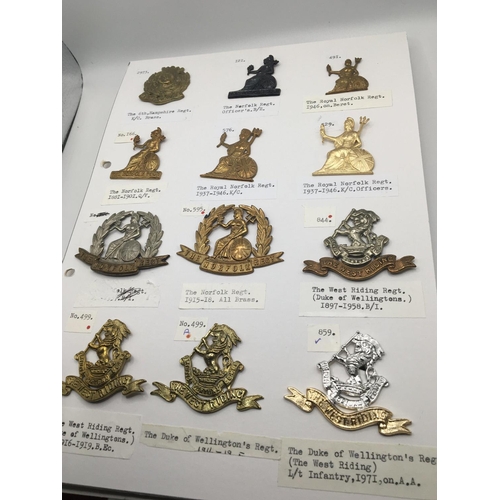 2015 - An album containing Military cap badges mainly county regiments on six cards with detailed descripti... 