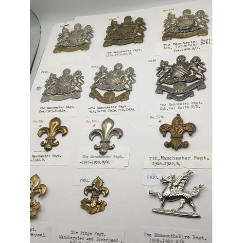 2015 - An album containing Military cap badges mainly county regiments on six cards with detailed descripti... 