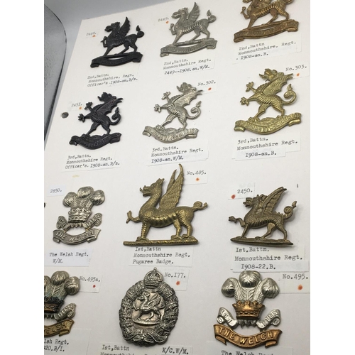 2015 - An album containing Military cap badges mainly county regiments on six cards with detailed descripti... 