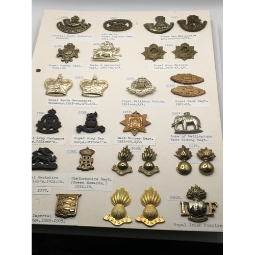 2028 - An album containing military collar badges mounted on four cards with detailed descriptions.