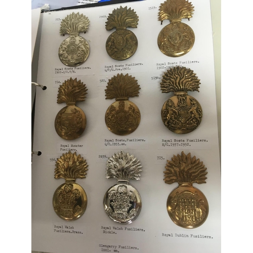 2031 - An album containing large cap badges predominantly Irish and Scottish Fusiliers. on three cards.