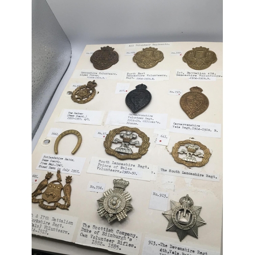 2033 - An Album containing military cap badges including country volunteer and other military badges on fou... 