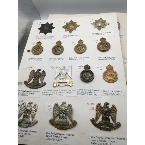 2036 - A collection of military cap badges predominantly Dragoon's Guards and others mounted on five cards.