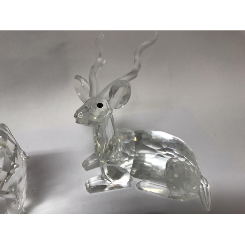 1081 - Three boxed Swarovski Crystal animals including Inspiration of Africa- Kudu, Elephant and Lion