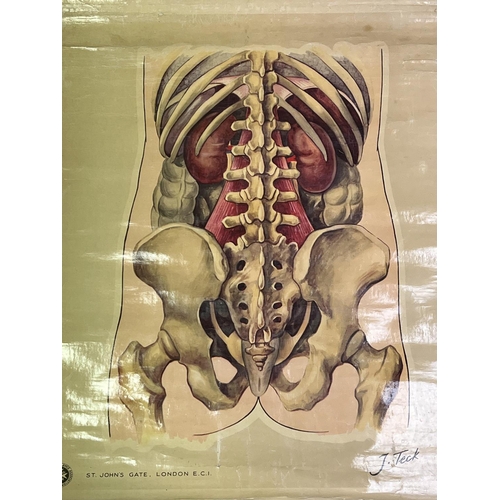 2148 - 7 Vintage Canvas St Johns Ambulance issue medical anatomy charts. Varying conditions.