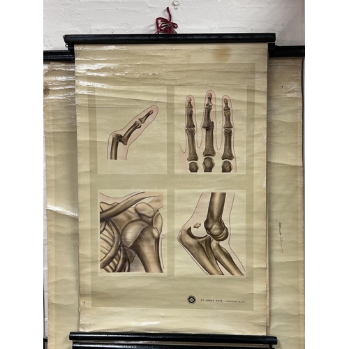 2148 - 7 Vintage Canvas St Johns Ambulance issue medical anatomy charts. Varying conditions.