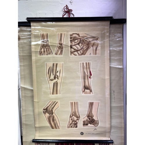 2148 - 7 Vintage Canvas St Johns Ambulance issue medical anatomy charts. Varying conditions.