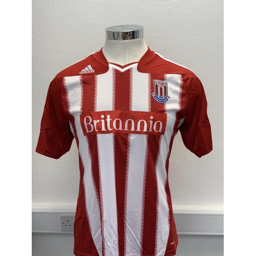 1133 - Stoke City 2010 - 2011 Match Worn Football Shirt: Home short sleeve number 9 with Premier League bad... 