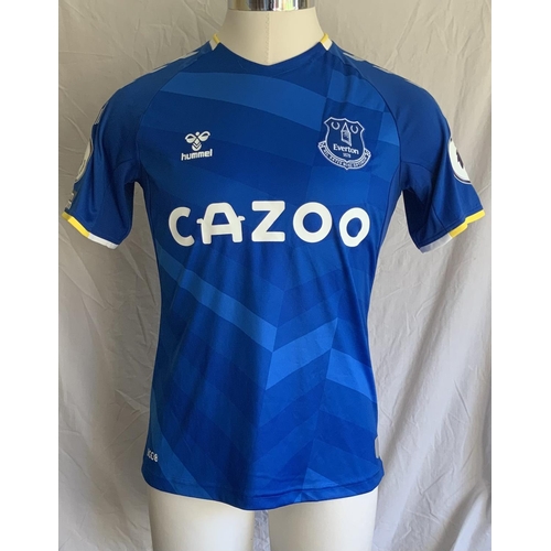 1372 - 2021 - 2022 Gordon Everton Match Worn Football Shirt: Blue short sleeve Hummel shirt with Premier Le... 