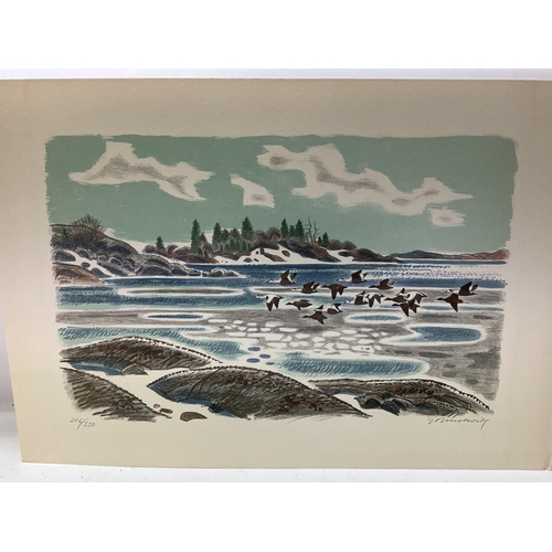 1461 - Gunnar Brusewitz, 1924-2004, Lithograph in colour titled White Male Eiders., signed in pencil, 206/3... 