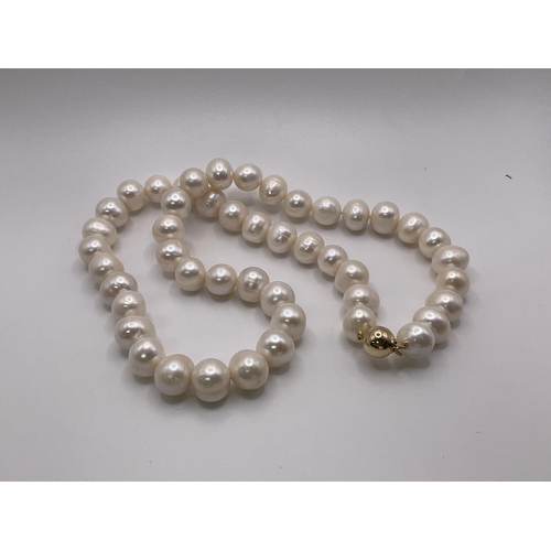 777 - A 22 long necklace strung with white freshwater pearls and fitted with a 9ct gold clasp.