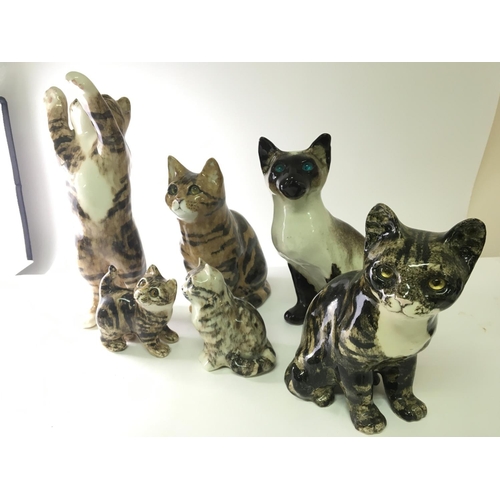 1174 - A collection of Winstanley cats with glass eyes and signed bases.