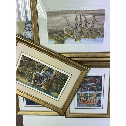 1539 - 7 various Stephen Gayford limited edition prints of big cats. Pencil signed.