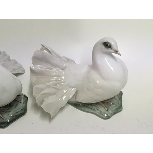 933 - A pair of Rosenthall porcelain pigeons.