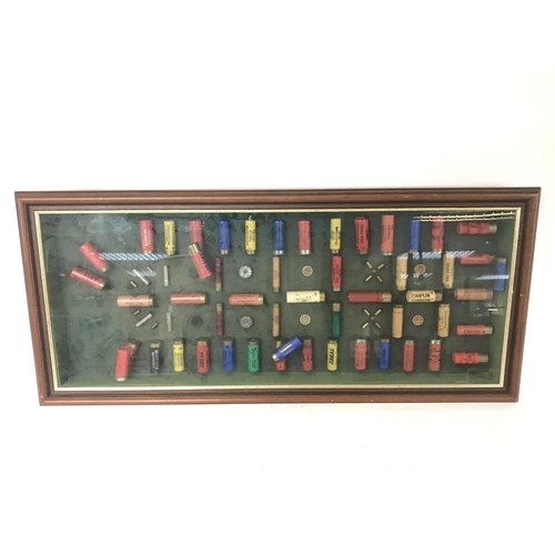 31 - No Reserve - Shotgun bullet display, approximately 82x37cm