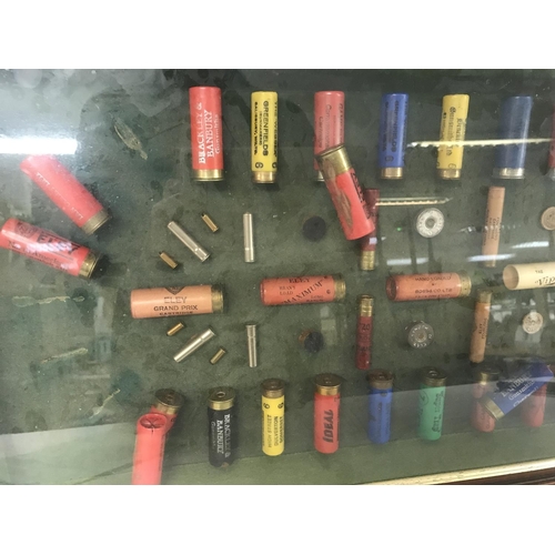 31 - No Reserve - Shotgun bullet display, approximately 82x37cm