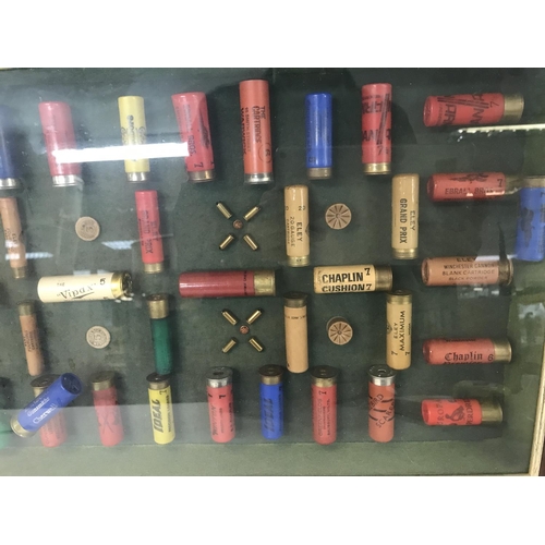 31 - No Reserve - Shotgun bullet display, approximately 82x37cm