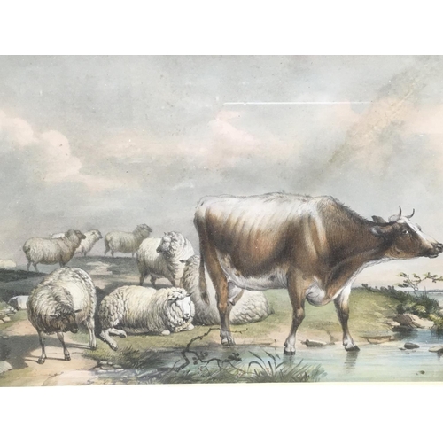 519 - Framed watercolour depicting a cow and a flock of sheep