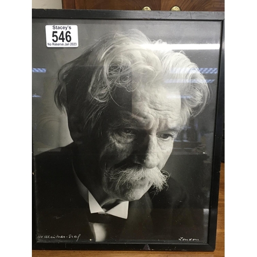 546 - An original photograph of mathematician Harold Weitzner.