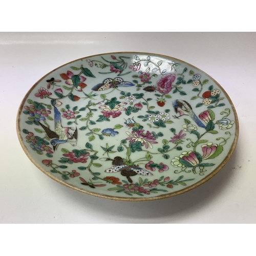 1315 - An early Chinese Canton decorated celadon dish, 21cm.