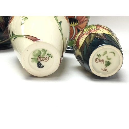 1069 - Boxed Moorcroft vases, heights ranging from approximately 10cm to 28cm.