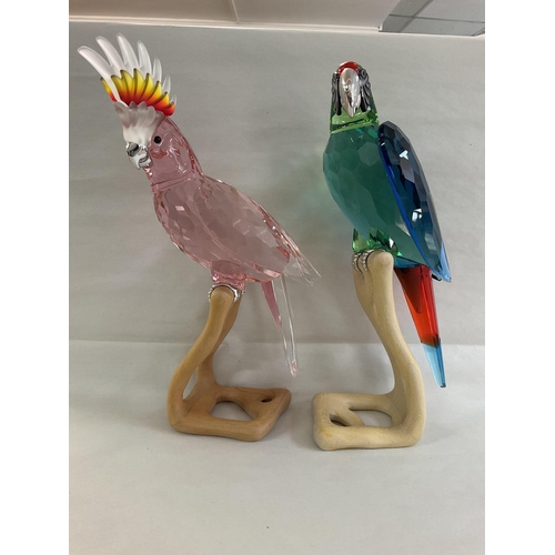 975 - Two large Swarovski birds on wooden stands, in fitted boxes, with certificates. Red Cockatoo and Gre... 