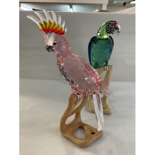 975 - Two large Swarovski birds on wooden stands, in fitted boxes, with certificates. Red Cockatoo and Gre... 