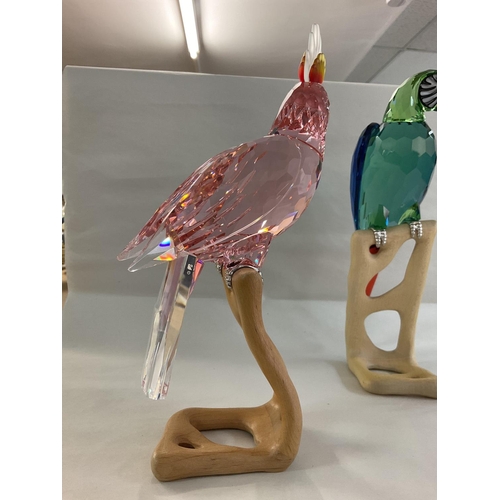 975 - Two large Swarovski birds on wooden stands, in fitted boxes, with certificates. Red Cockatoo and Gre... 