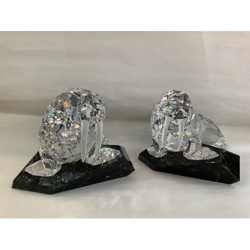 976 - Two large Swarovski pieces- Nature of Serenity- a pair of walruses on bases. Both boxed in fitted ca... 