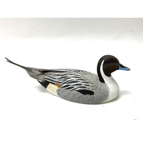 956 - A small finely carved lime wood carving of a Northern pintail drake, 1/3rd scale, carved by David Pa... 