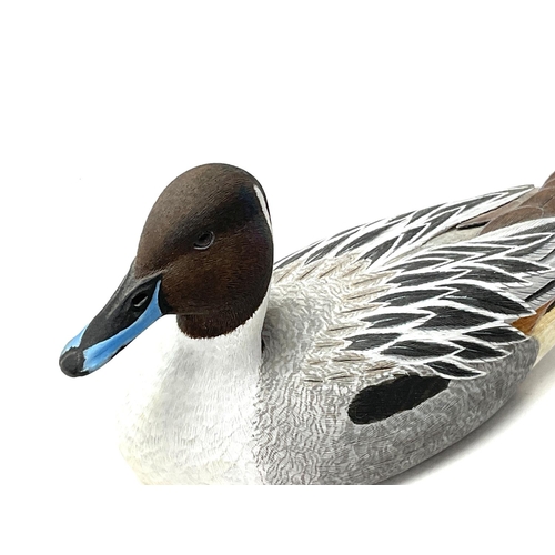 956 - A small finely carved lime wood carving of a Northern pintail drake, 1/3rd scale, carved by David Pa... 