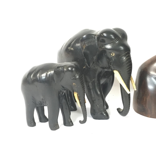 1036 - Indonesian carved busts (approximately 35cm tall) and ebony elephants (15 & 9cm tall)