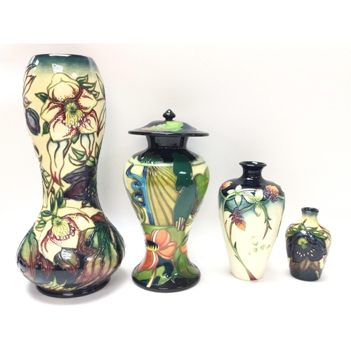 1212 - Boxed Moorcroft vases, heights ranging from approximately 10cm to 28cm.