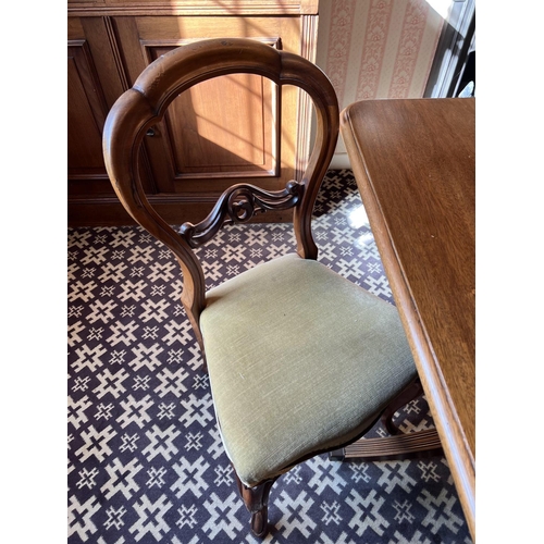 1453 - A set of six Victorian mahogany balloon back dining chairs with a mahogany table