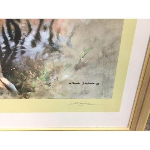 1544 - David Shepherd. A framed and glazed signed Limited Edition numbered print of a tiger 'Working sketch... 