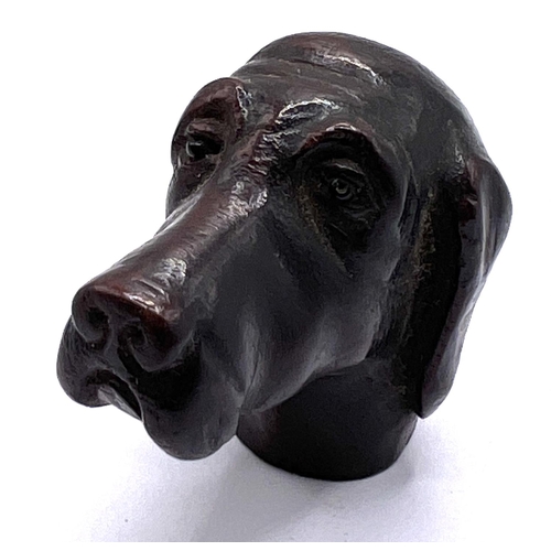 855 - A well carved antique fruitwood handle top in the form of a dogs head. 5cm. (A)