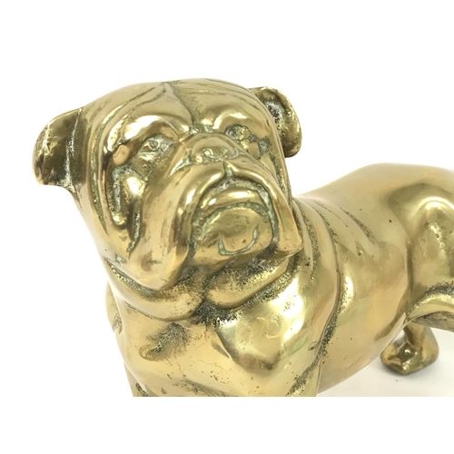 891 - A vintage solid cast bronze bull dog, approximately 15cm tall and 20cm long.