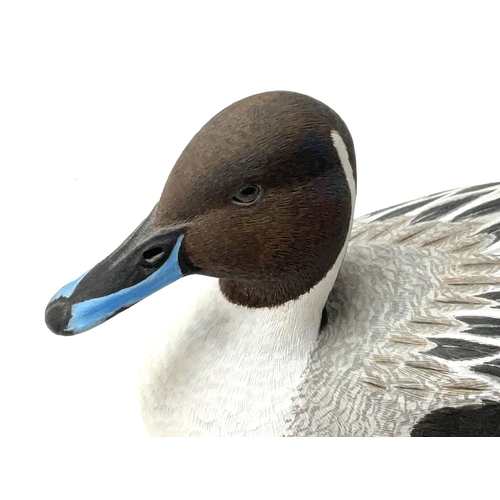 956 - A small finely carved lime wood carving of a Northern pintail drake, 1/3rd scale, carved by David Pa... 