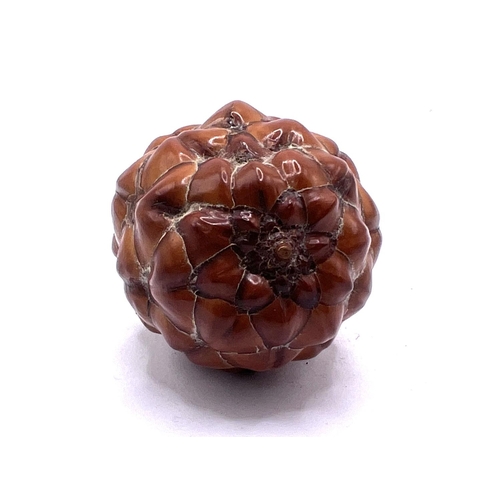 68 - A Chinese pinecone repurposed for use a a snuff bottle. 7.5cm