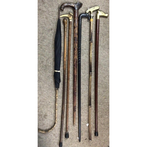 1356 - Various vintage walking sticks, umbrella, gold club. cat D postage