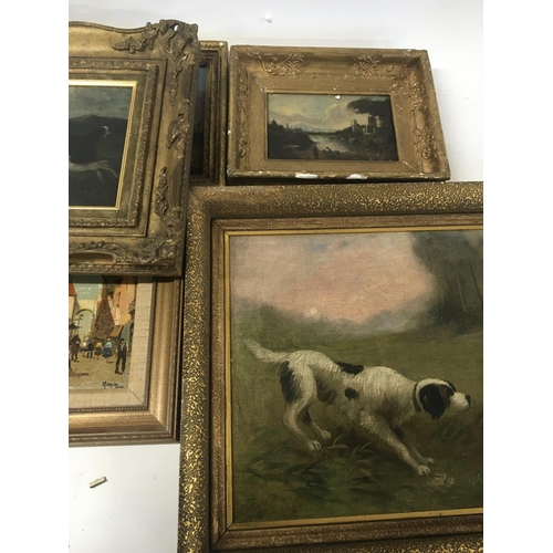 104 - A collection of small framed oil paintings and 19th century prints including a study of Spaniel dog ... 