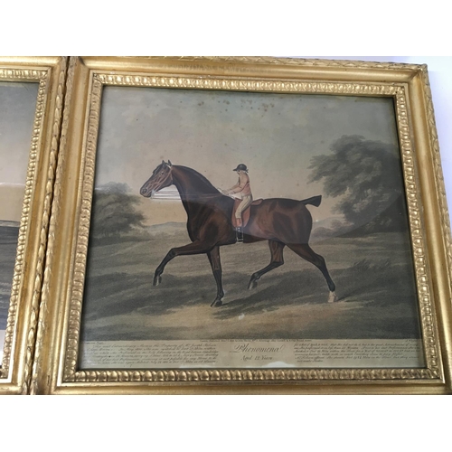 118 - Two gilt framed 19th century coloured prints studies of  race horses (2)