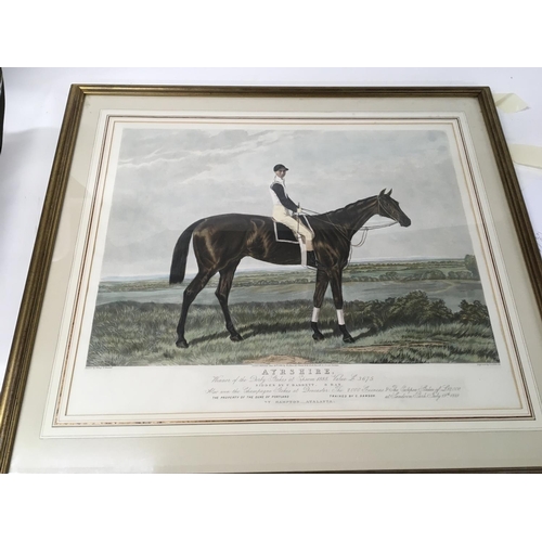 160 - A framed late 19th century print a horse racing portrait of Ayrshire winner of the Derby at Epsom in... 