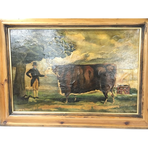 48 - A framed oil painting on canvas study of a prize Hereford type bull with owner and dogs at foot. 93x... 