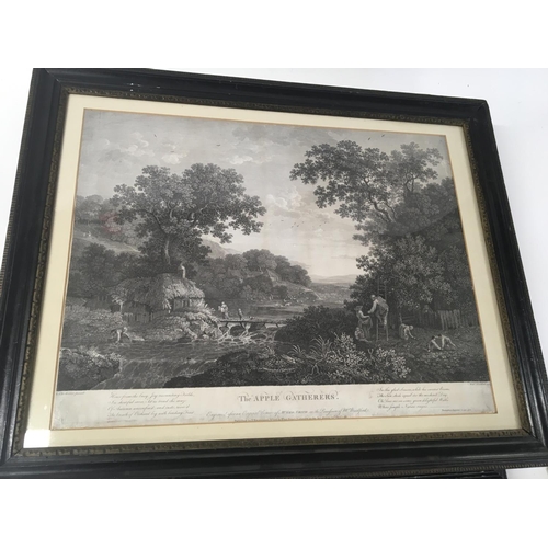 59 - Four framed early 19th century  engravings and prints The Apple Gatherers The Tavern door a framed a... 