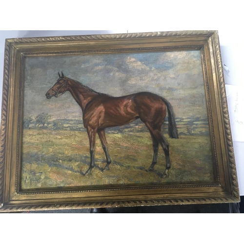 9 - A framed oil painting on canvas  study of a horse Wilton signed with initial M possible Margaret Col... 