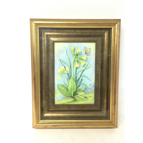 1146 - Framed limited edition Connoisseur of Malvern porcelain panel cowslips, 24x30cm NO RESERVE