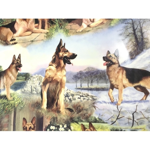 1032 - A Danbury Mint limited edition German Shepherds 12 inch collectors plate by John Lewis Fitzgerald. W... 